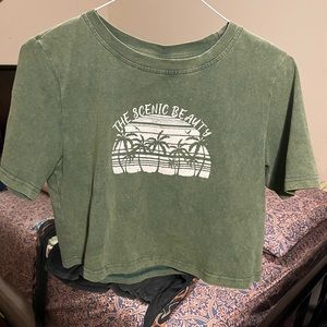 The scenic beauty crop tee💚